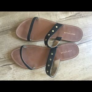 Ann Taylor Sandle